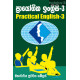 Practical English 3