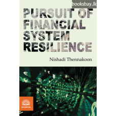 Pursuit of Financial System Resilience